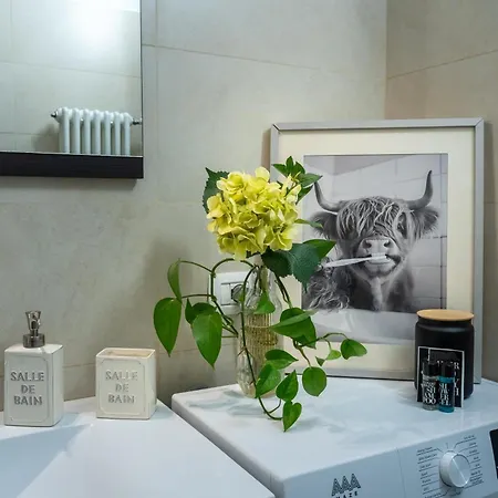 Apartment Homy Charme&relax